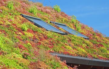 Icklingham living roof systems